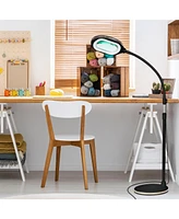 Brightech Lightview Pro Led 3-in-1 Magnifier Floor or Desk Lamp (1.75x) 3 Diopter