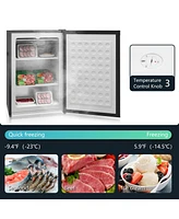 3.0 Cu. Ft. Mini Freezer with Reversible Door and Thermostat