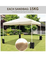 Streamdale Furniture 4 Canopy Weights (33lbs) for Gazebo or Pop-Up Tent