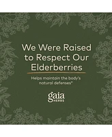 Gaia Herbs Black Elderberry - Daily Immune Support Supplement to Help Maintain Well-Being