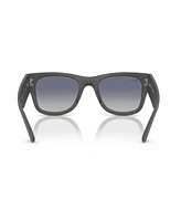 Ray-Ban Men's and Women's Sunglasses RB4840S