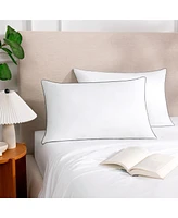 Host & Home Hypoallergenic Pillows (2 Pack) - White with Silver Piping, Cotton with Poly Fill