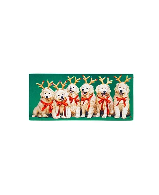 Evergreen Reindeer Puppies Sassafras Indoor Outdoor Switch Doormat 1'10"x10" Multicolored