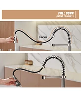 Casainc 1.8 Gpm Spring Neck Pull Down Kitchen Faucet with Deck Plate