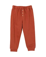 Gerber Toddler Boys Henley Shirt and Joggers, 2-Piece Set