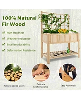Givimo Raised Garden Bed Elevated Wooden Planter Box with Trellis