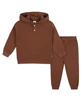 Gerber Toddler Boys Hooded Sweater Top and Pant Knit Set