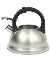 Mr. Coffee Hartbay Large 2.4 Quart Stainless Steel Whistling Tea Kettle