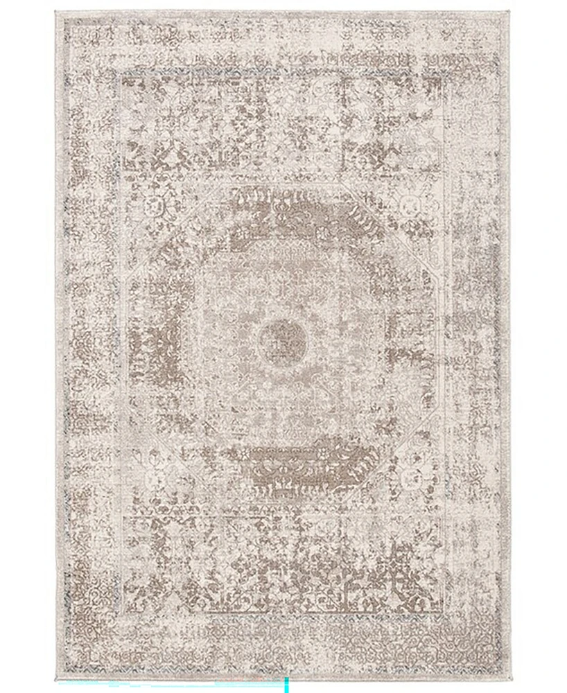 Safavieh Sofia SOF365B 4'x5'7" Area Rug