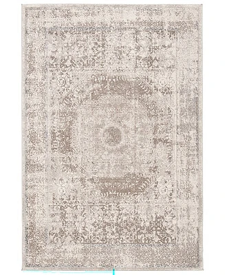 Safavieh Sofia SOF365B 4'x5'7" Area Rug