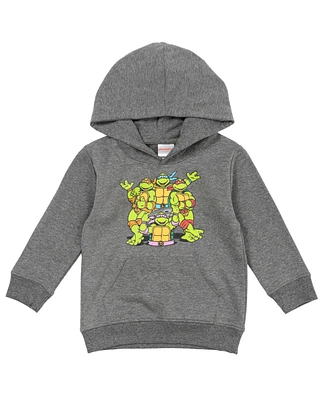 Teenage Mutant Ninja Turtles Toddler Boys Tmnt Leonardo Michelangelo Donatello Raphael Fleece Pullover Hoodie to
