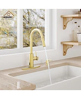 Casainc Pull Down Sprayer Kitchen Faucet with Touchless Sensor, Led