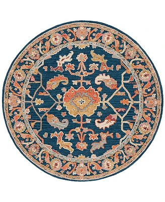 Safavieh Metro Ii MET328N 6'x6' Round Area Rug