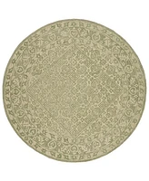 Safavieh Dip Dye DDY151Y 7'x7' Round Area Rug