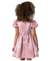 Rare Editions Toddler & Little Girls Shimmer Organza Social Dress