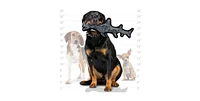 Tuffy Ocean Alligator & Hammer Head Shark - Combo Pack, Durable Dog Toys