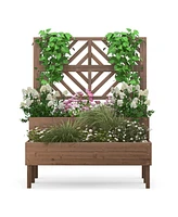 2-Tier Raised Garden Bed with Trellis