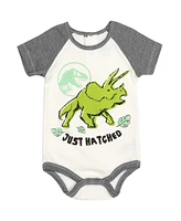 Jurassic World Baby Boys Dinosaur 4 Pack Bodysuits Newborn to