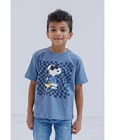 Peanuts Boys Woodstock Snoopy Charlie Brown 3 Pack T-Shirts