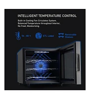 Jinjunye Wine Cooler Refrigerator, Upgrade 12 Bottle Wine Fridge Small Dual Chip, Countertop Wine Cooler Temperature Control, 46