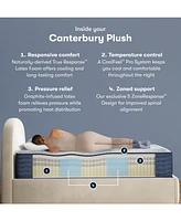 Serta iComfortPro Canterbury 15" Latex Foam Plush Mattress Set