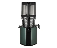 Hurom H320 Ultra Low Pulp Slow Juicer