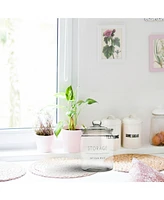 Amici Home Stockholm Glass Round Canister - Storage