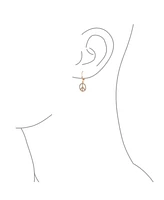 Bling Jewelry Message World Peace Sign Symbol Cubic Zirconia Pave Cz Lever back Drop Dangle Earrings For Women Rose Gold Plated .925 Sterling Silver