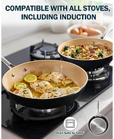 9.5-Inch Black Nonstick Hard Anodized Fry Saute Omelet Pan