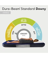 Intex 10 Inch Dura Beam Rectangular Standard Downy Air Mattress, Queen (2 Pack)
