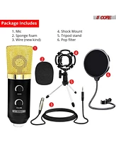 5 Core Recording Microphone Podcast Bundle • Professional Condenser Cardioid Mic Kit • w Boom Arm - Rm 7 Bg