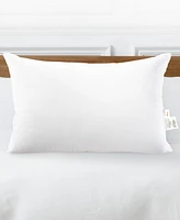 Cheer Collection Soft and Plush Bed Pillow Insert