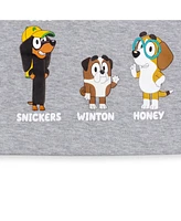 Toddler| Child Bluey Winton Snickers Honey Muffin Bandit Dad Chili Mom Missy Chloe Coco Bingo Girls 2 Pack T-Shirts