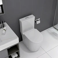 Small Compact One Piece Toilet Dual Flush,23 inch Short Depth for Tiny Bathroom, White