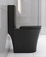 Matte Black Elongated One Piece Toilet Dual Flush 1.1/1.6 Gpf Water Saving Map 1000g, Matte Black