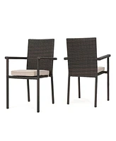 San Pico Dining Chair-Multi Brown,1Pc With Cushion