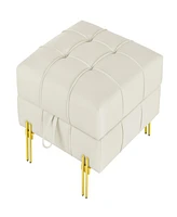 22 inches Anti-scratch Leather Storage Ottoman, Pet Friendly Entryway Bench with Golden Stainless Steel Legs
