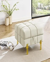 Streamdale Furniture 22 inches Anti-scratch Leather Storage Ottoman, Pet Friendly Entryway Bench with Golden Stainless Steel Legs