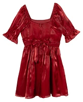 Rare Editions Big Girls Shimmer Organza Dress