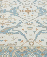 Exquisite Rugs Claremont Oushak 6794 8'x10' Area Rug