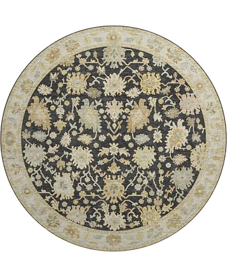 Dalyn Hatay Washable HY2 8'x8' Round Area Rug