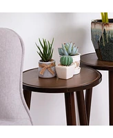 Unho 2 Pack Small Round Side Table Mid Century Tripod Plant Holder 16.5in Tall for Home Decor