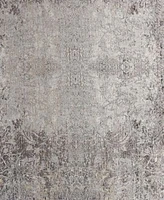 Feizy Sarrant 3964f Rug Collection