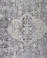 Feizy Sarrant 3966f Rug Collection