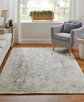 Feizy Reagan 8685f Rug Collection