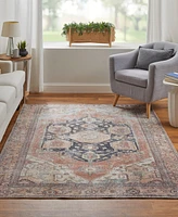 Feizy Percy 39ALF 4'x6' Area Rug