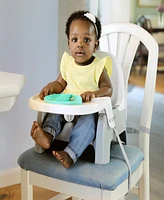 Ingenuity Baby Deluxe Learn-to-Dine Feeding Seat