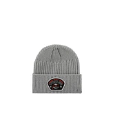 Teenage Mutant Ninja Turtles Men's Raphael Skull Patch Gray Ribbed Knit Beanie