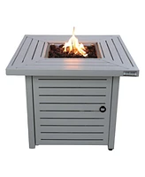 Mondawe 25" H x 30" W Steel Propane/Natural Gas Fire Pit Table