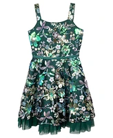 Rare Editions Big Girls Embroidered Sequin Mesh Social Dress